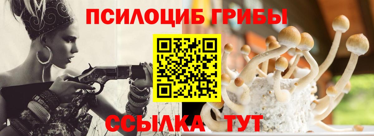 Галлюциногенные грибы прущие грибы  Галлюциногенные грибы ЛСД  Вход с VPN  Долгопрудный 